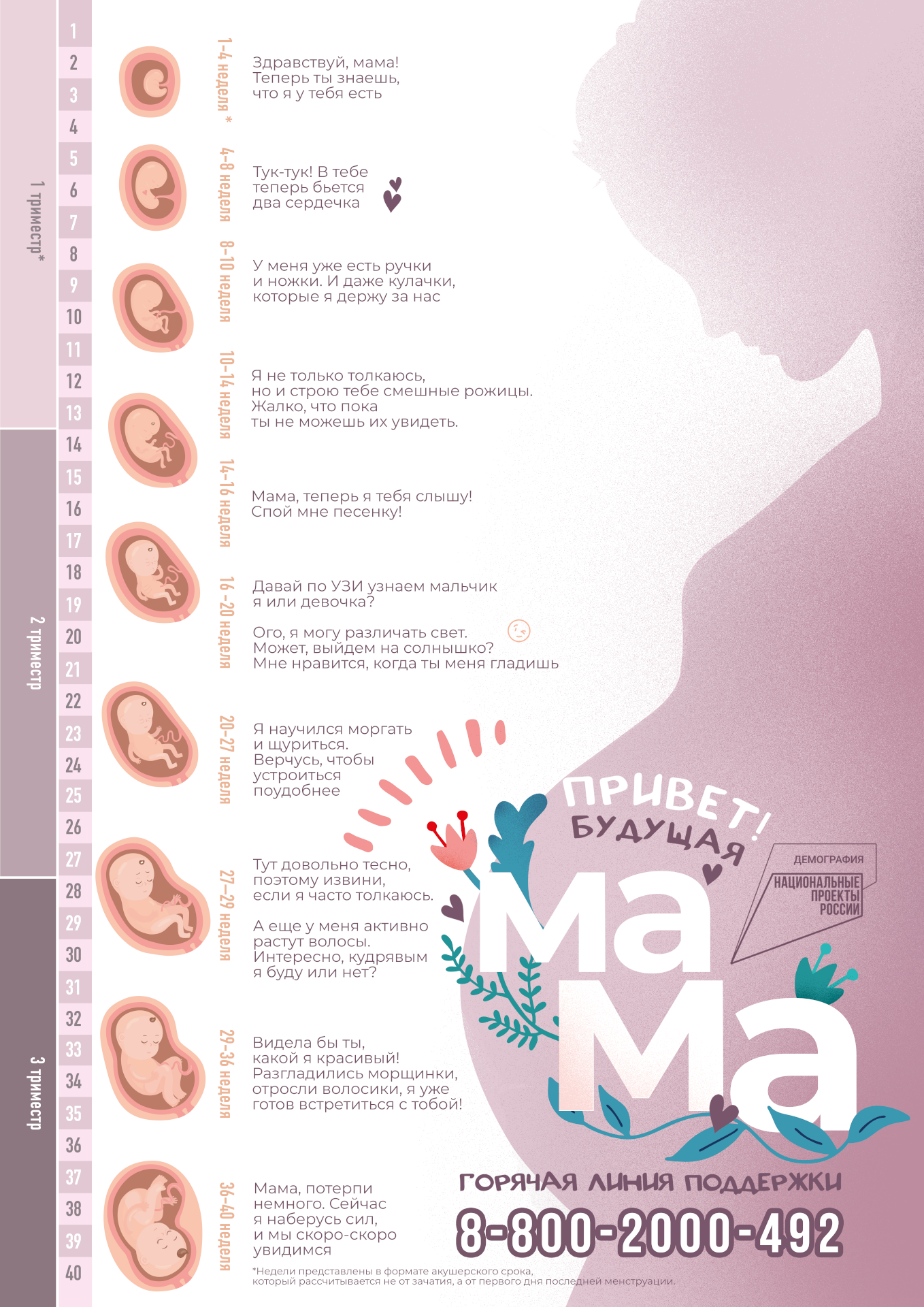 poster 39 weeks cmyk A1